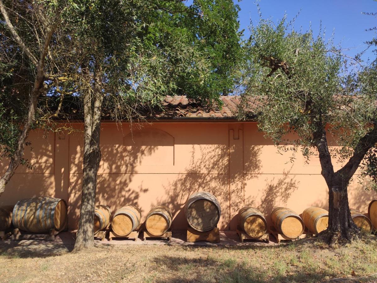 Podere Borgaruccio Peccioli Extérieur photo