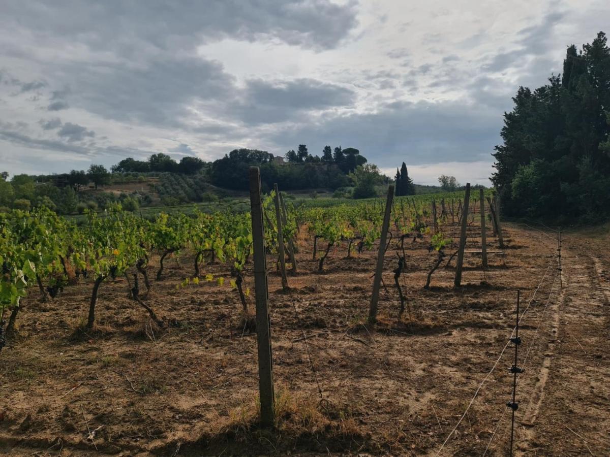 Podere Borgaruccio Peccioli Extérieur photo