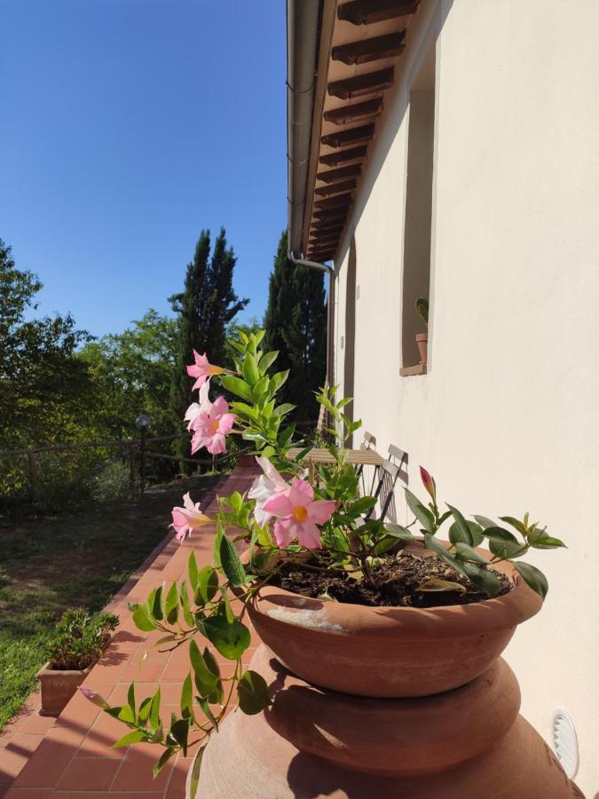 Podere Borgaruccio Peccioli Extérieur photo
